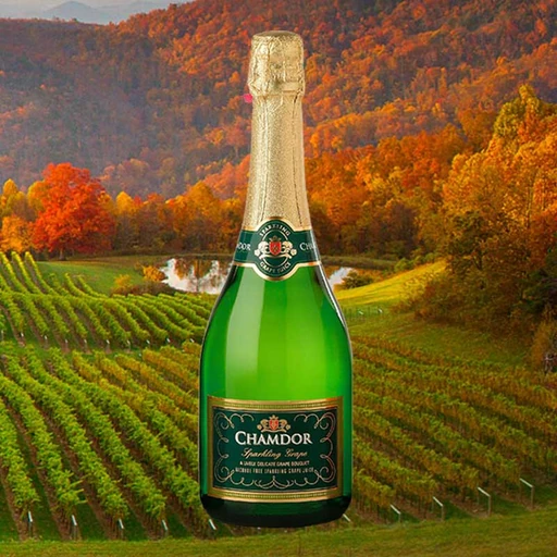 Chamdor Sparkling Grape White | Portovino
